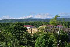 137: DSC_1345