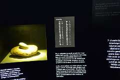 141: DSC_1350