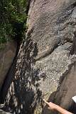 146: DSC_1356