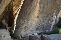155: DSC_1365