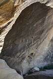 156: DSC_1366