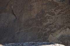 162: DSC_1373