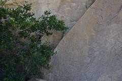 163: DSC_1374