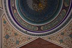204: DSC_1429