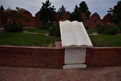 220: DSC_1445