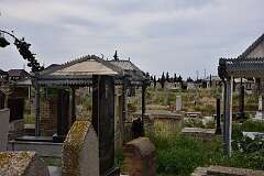 222: DSC_1447