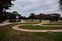 227: DSC_1452