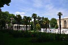 229: DSC_1454