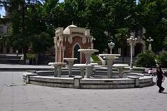 233: DSC_1459