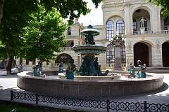 236: DSC_1462