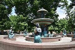 239: DSC_1465