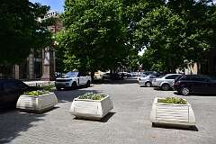 242: DSC_1469