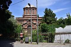 248: DSC_1479