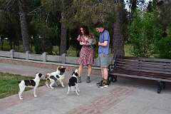 262: DSC_1495
