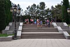 267: DSC_1510
