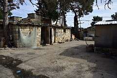 279: DSC_1523