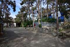280: DSC_1524