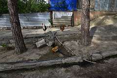 281: DSC_1525