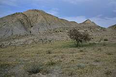 292: DSC_1536