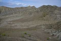 293: DSC_1537