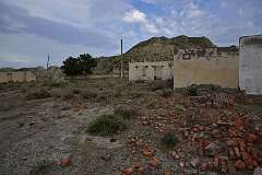 297: DSC_1541