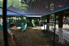 308: DSC_1557