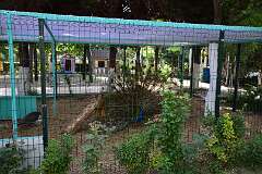 310: DSC_1561