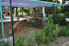 312: DSC_1564