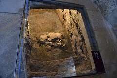 318: DSC_1572