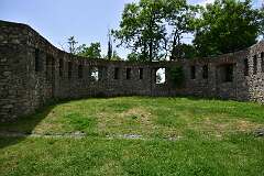 335: DSC_1590
