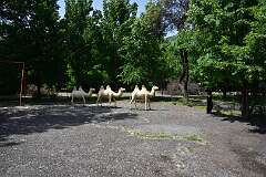 342: DSC_1597