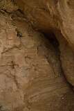 363: DSC_1620