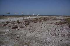 373: DSC_1631