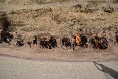 377: DSC_1635