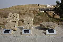 384: DSC_1645