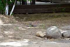 435: DSC_1704