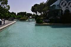 437: DSC_1707
