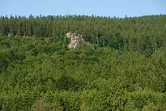19: RX107967