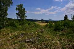 15: DSC_1786