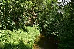 42: DSC_1820