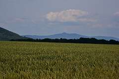 46: DSC_1825