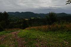 20: RX108124