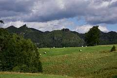 14: DSC_1845