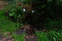 15: RX108176