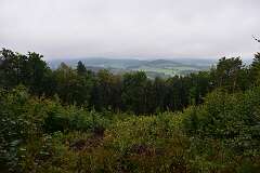 8: DSC_1925
