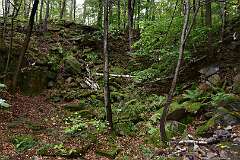 15: DSC_1932