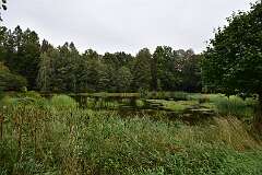 23: DSC_1940