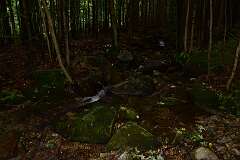 37: DSC_1957