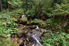 38: DSC_1958