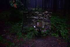 40: DSC_1963